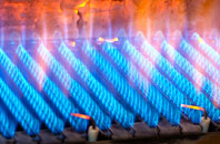 Skye Green gas fired boilers